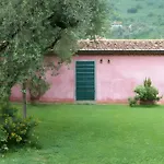 Con Parco E Piscina-camaiore Nocchi
