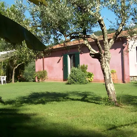 Villa Con Parco E Piscina-camaiore *