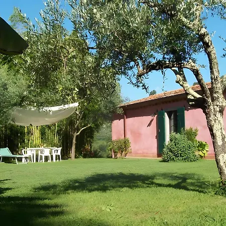 Con Parco E Piscina-camaiore Villa