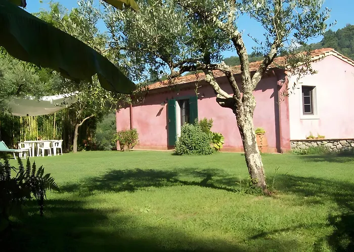 Villa Con Parco E Piscina-camaiore *