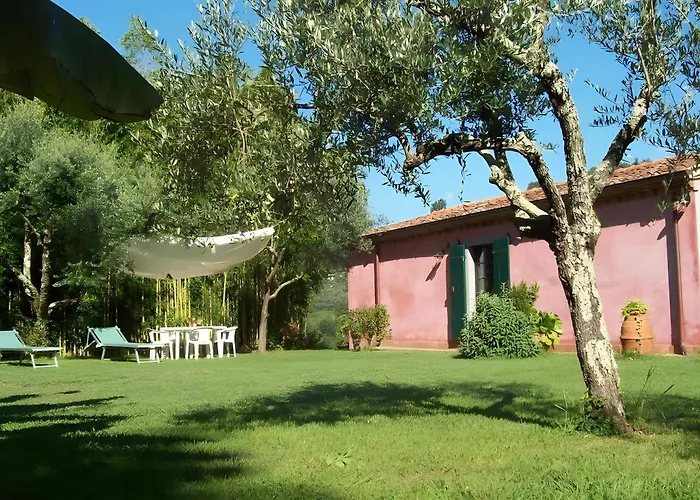 Con Parco E Piscina-camaiore Villa