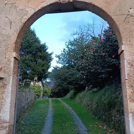 Con Parco E Piscina-camaiore Villa Nocchi