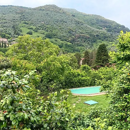 Villa Con Parco E Piscina-camaiore Nocchi