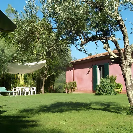 Villa Con Parco E Piscina-camaiore Nocchi