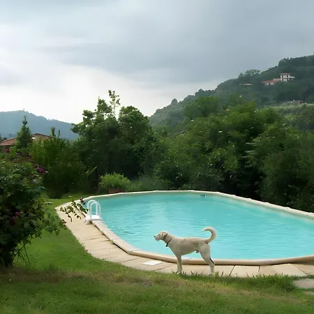 Villa Con Parco E Piscina-camaiore *