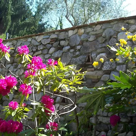 Con Parco E Piscina-camaiore