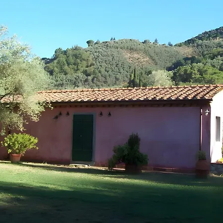 Con Parco E Piscina-camaiore Villa *
