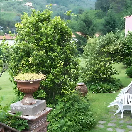 Con Parco E Piscina-camaiore Villa Nocchi