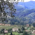 Villa Con Parco E Piscina-camaiore Nocchi